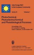 Photochemical, Photoelectrochemical and Photobiological Processes, Vol.1 edito da Springer Netherlands