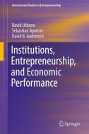 Institutions, Entrepreneurship, and Economic Performance di David Urbano, Sebastian Aparicio, David B. Audretsch edito da Springer-Verlag GmbH