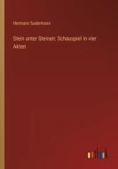 Stein unter Steinen: Schauspiel in vier Akten di Hermann Sudermann edito da Outlook Verlag