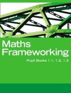 Maths Frameworking - Interactive Book, Homework And Assessment 1 di Kevin Evans, Keith Gordon, Chris Pearce, Jayne Roper, Trevor Senior, Brian Speed edito da Harpercollins Publishers