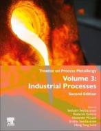 Treatise on Process Metallurgy: Volume 3: Industrial Processes edito da ELSEVIER