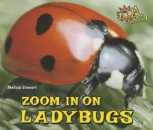 Zoom in on Ladybugs di Melissa Stewart edito da ENSLOW PUBL