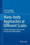 Many-body Approaches at Different Scales edito da Springer International Publishing