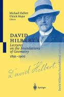 David Hilbert's Lectures on the Foundations of Geometry 1891-1902 di Michael Hallett edito da Springer Berlin Heidelberg