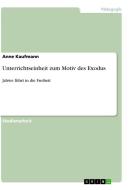 Unterrichtseinheit zum Motiv des Exodus di Anne Kaufmann edito da GRIN Verlag