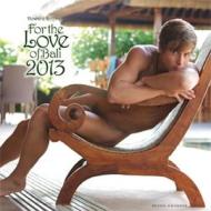 For The Love Of Bali 2013 di Howard Roffman edito da Bruno Gmunder Verlag Gmbh