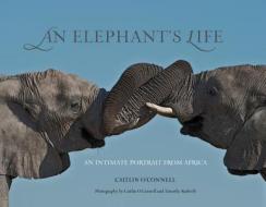 Elephant's Life di Caitlin O'Connell edito da Rowman & Littlefield