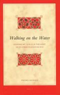 Walking on the Water: Reading Mt. 14:22-33 in the Light of Its Wirkungsgeschichte di Rachel Nicholls edito da BRILL ACADEMIC PUB