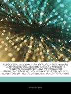 Agency Law, Including: Law Of Agency, In di Hephaestus Books edito da Hephaestus Books
