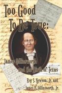 Too Good to Be True di Jr. Roy S. Newsom, Jr. James B. Collinsworth edito da Ideas into Books WESTVIEW