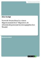 Verweilt Deutschland in einem Migrationsmärchen? Migranten als Arbeitskräftepotenzial im demographischen Wandel di Alice Kruligk edito da GRIN Publishing
