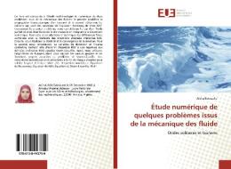 Étude numérique de quelques problèmes issus de la mécanique des fluide di Aicha Boussaha edito da Editions universitaires europeennes EUE