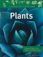 Plants: Flowering Plants, Ferns, Mosses, and Other Plants di Shar Levine, Leslie Johnstone edito da CRABTREE PUB
