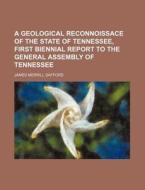A Geological Reconnoissace of the State of Tennessee, First Biennial Report to the General Assembly of Tennessee di James Merrill Safford edito da Rarebooksclub.com
