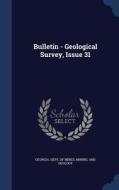 Bulletin - Geological Survey, Issue 31 edito da Sagwan Press