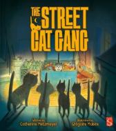 The Street Cat Gang di Catherine Metzmeyer edito da Salariya Book Company Ltd