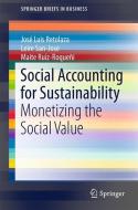 Social Accounting for Sustainability di José Luis Retolaza, Maite Ruíz-Roqueñi, Leire San-José edito da Springer International Publishing
