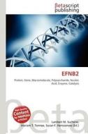 Efnb2 edito da Betascript Publishing