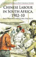 Chinese Labour in South Africa, 1902-10 di R. Bright edito da Palgrave Macmillan