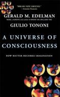 A Universe of Consciousness How Matter Becomes Imagination: How Matter Becomes Imagination di Gerald Edelman, Giulio Tononi edito da BASIC BOOKS