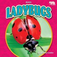 Ladybugs di Martha London edito da BEARPORT PUB CO INC