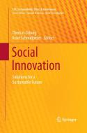 Social Innovation edito da Springer Berlin Heidelberg