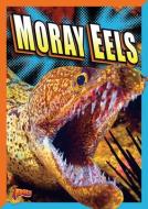 Moray Eels di Gail Terp edito da BLACK RABBIT BOOKS