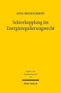 Sektorkopplung im Energieregulierungsrecht di Anna Brinkschmidt edito da Mohr Siebeck GmbH & Co. K