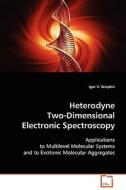 Heterodyne Two-Dimensional Electronic Spectroscopy di Igor V. Stiopkin edito da VDM Verlag