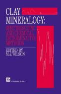 Clay Mineralogy: Spectroscopic and Chemical Determinative Methods edito da Springer Netherlands
