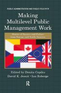 Making Multilevel Public Management Work: Stories of Success and Failure from Europe and North America edito da ROUTLEDGE