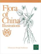 Flora of China Illustrations, Volume 13: Clusiaceae Through Araliaceae di Zhengyi Wu, Peter H. Raven, Libing Zhang edito da MISSOURI BOTANICAL GARDEN PR