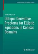 Oblique Derivative Problems for Elliptic Equations in Conical Domains di Mikhail Borsuk edito da Springer Nature Switzerland