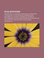Scalidophora: Kinorhyncha, Loricifera, P di Source Wikipedia edito da Books LLC, Wiki Series