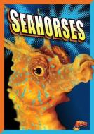 Seahorses di Gail Terp edito da BLACK RABBIT BOOKS