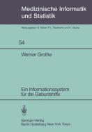 Ein Informationssystem für die Geburtshilfe di W. Grothe edito da Springer Berlin Heidelberg