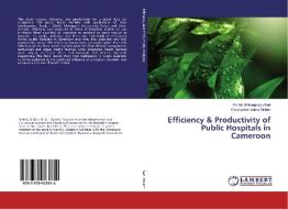 Efficiency & Productivity of Public Hospitals in Cameroon di Parfait Bihkongnyuy Beri, Christopher Sama Molem edito da LAP Lambert Academic Publishing