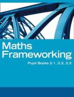 Ks3 Maths Interactive Book, Homework And Assessment Pack 2 di Kevin Evans, Keith Gordon, Chris Pearce, Jayne Roper, Trevor Senior, Brian Speed edito da Harpercollins Publishers