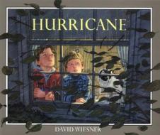 Hurricane di David Wiesner edito da Houghton Mifflin
