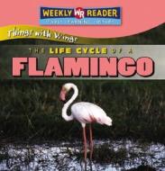 The Life Cycle of a Flamingo di JoAnn Early Macken edito da Gareth Stevens Publishing
