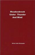 Meadowbrook Under Thunder And Wind di Alfred John Dalrymple edito da Dalrymple Books