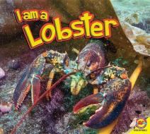 I Am a Lobster di Jared Siemens edito da AV2 BY WEIGL