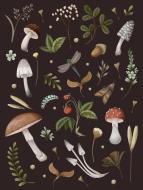 Mushroom Lined Journal di Editors of Chartwell Books edito da CHARTWELL BOOKS