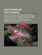 Anatomiya Na Rasteniyata: Durvesina, Lec di Iztochnik Wikipedia edito da Books LLC, Wiki Series
