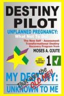 Destiny Pilot 1: Unplanned Pregnancy: What Not to Do di Moses a. Ojute edito da Createspace