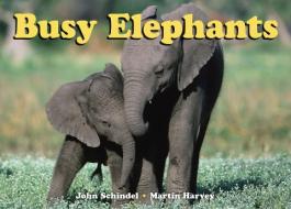 Busy Elephants di John Schindel edito da Tricycle Press