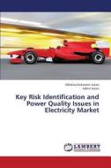 Key Risk Identification and Power Quality Issues in Electricity Market di Meldina Kokorovic Jukan, Admir Jukan edito da LAP Lambert Academic Publishing