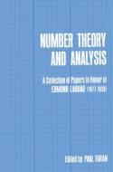 Number Theory and Analysis edito da Plenum Publishing Corporation
