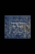 Taking Down The Angel di Jeff Friedman edito da Carnegie-mellon University Press
