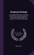 Scriptural Geology di George Bugg edito da Palala Press